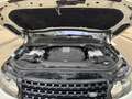 Land Rover Range Rover Range Rover 3.0 TDV6 Vogue Aut. Blanco - thumbnail 18
