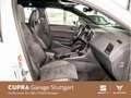 CUPRA Ateca Cupra 2.0 TSI DSG 221kW *360 Kamera* *AHK* Weiß - thumbnail 5