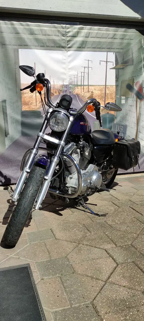 Harley-Davidson Sportster 883 Niebieski - 1