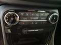 Ford Puma TITANIUM NAVI / LED / KAMERA / WINTER-PAKET Gris - thumbnail 14