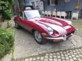 Jaguar E-Type Coupe Serie 2 unrest.  mit Patina LHD Rot - thumbnail 3
