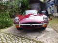 Jaguar E-Type Coupe Serie 2 unrest.  mit Patina LHD Rot - thumbnail 2