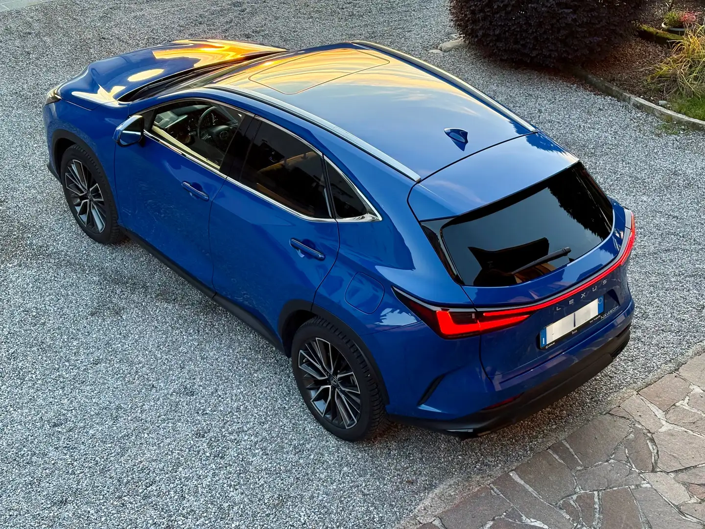 Lexus NX 450h+ 4WD-Plug-in  Luxury Gancio Traino Blu/Azzurro - 2