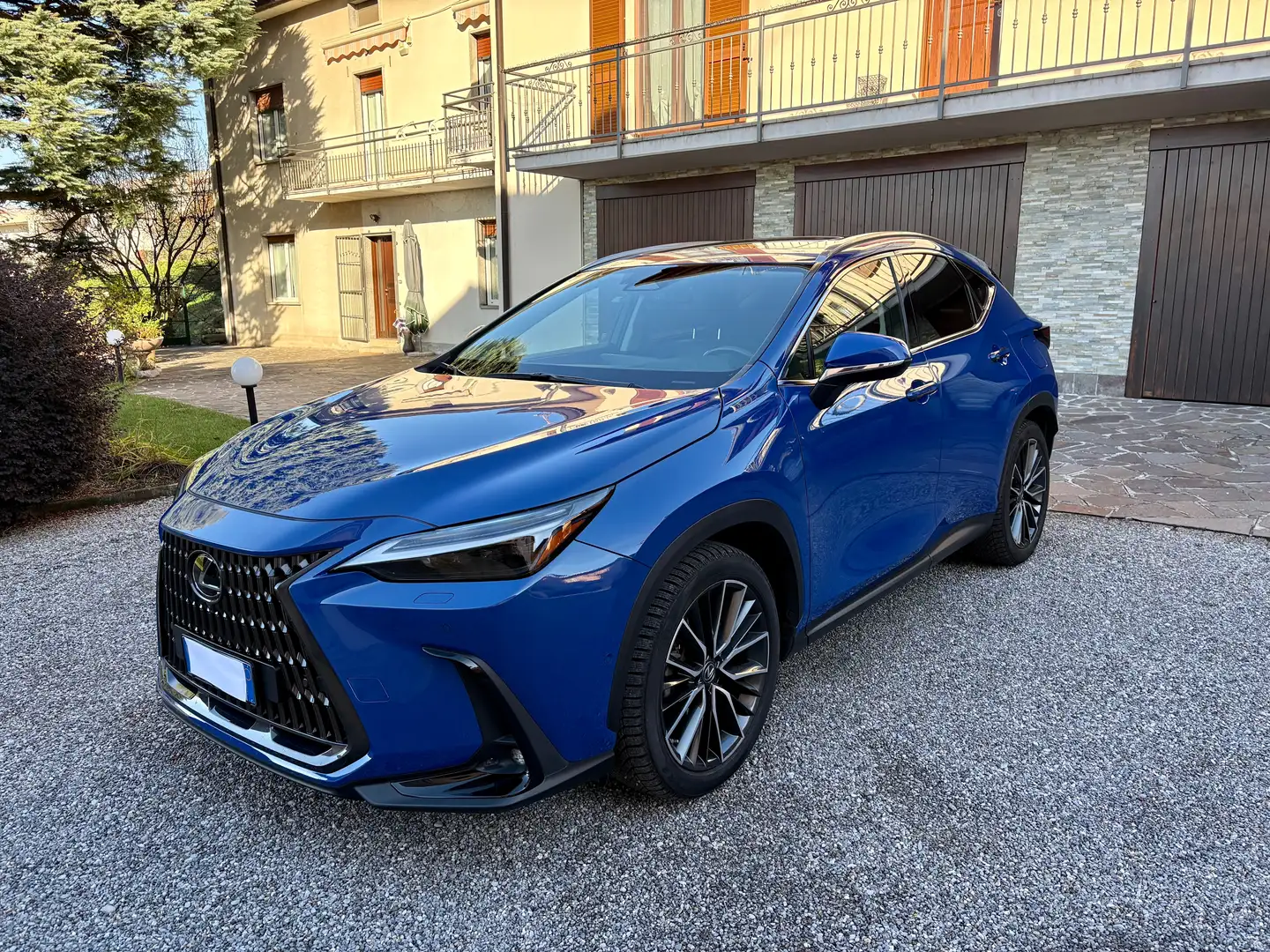 Lexus NX 450h+ 4WD-Plug-in  Luxury Gancio Traino Blu/Azzurro - 1