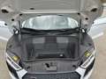 Audi R8 Coupe 5.2 V10 fsi Plus quattro s-tronic Grigio - thumbnail 14
