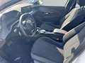 Peugeot 208 e- Active Pack 136 CarPlay Sitzheizung Klima Bianco - thumbnail 10