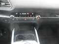 Mazda CX-30 /G140/Centre Line Gold - thumbnail 19