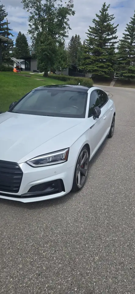 2019 Audi S5