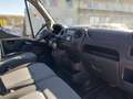 Renault Master III Oberaigner Mixto L3H2  3,5t 4X4 Weiß - thumbnail 11