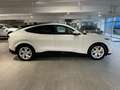 Ford Mustang Mach-E AWD DUAL 351PS AWD Weiß - thumbnail 4