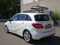 Mercedes-Benz B 200 B 200 d (cdi) Business auto Blanco - thumbnail 5
