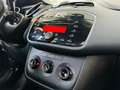 Fiat Punto Evo 5p 1.3 mjt Dynamic s&s 75cv dpf Con Garanzia Bianco - thumbnail 8