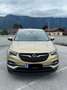 Opel Grandland X Turbo Direct Edition 1,2 Braun - thumbnail 2