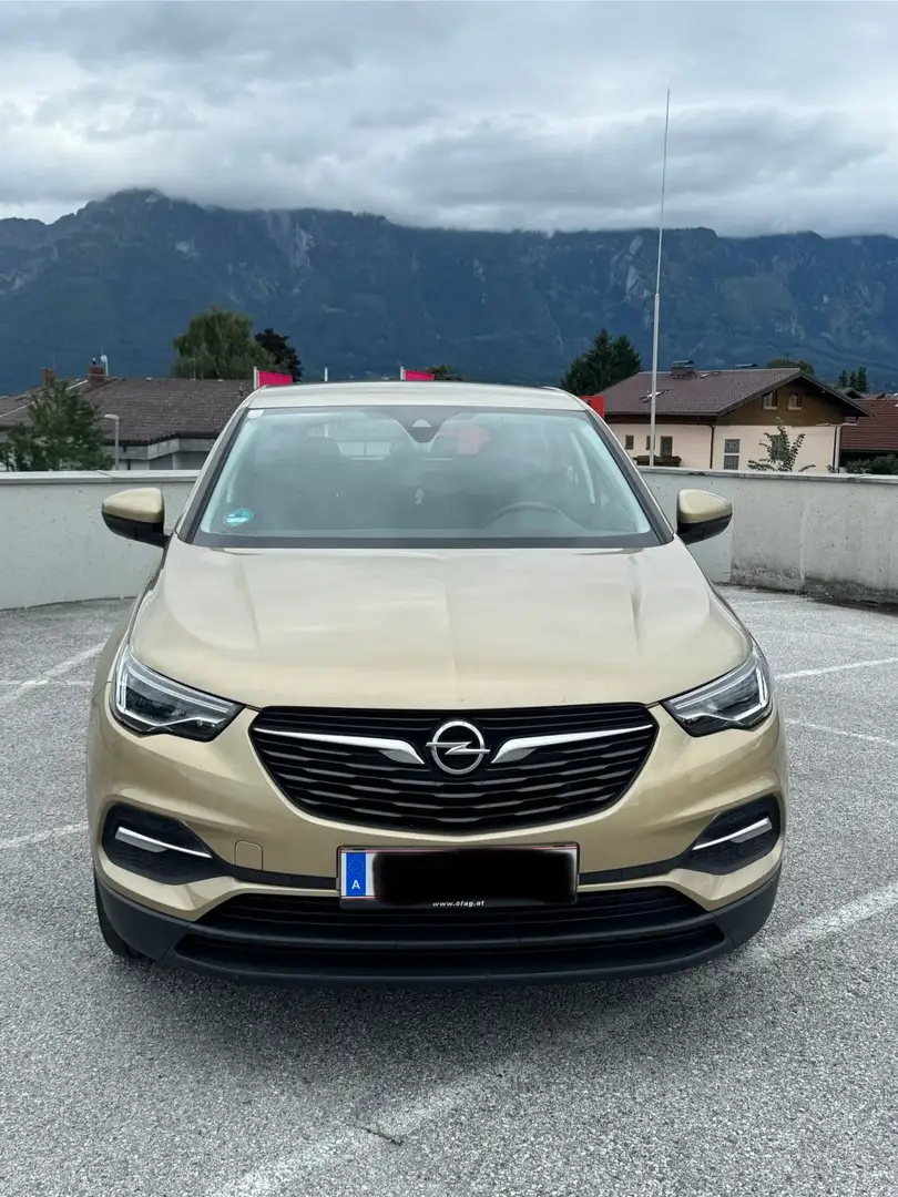 Opel Grandland X Turbo Direct Edition 1,2 Braun - 2