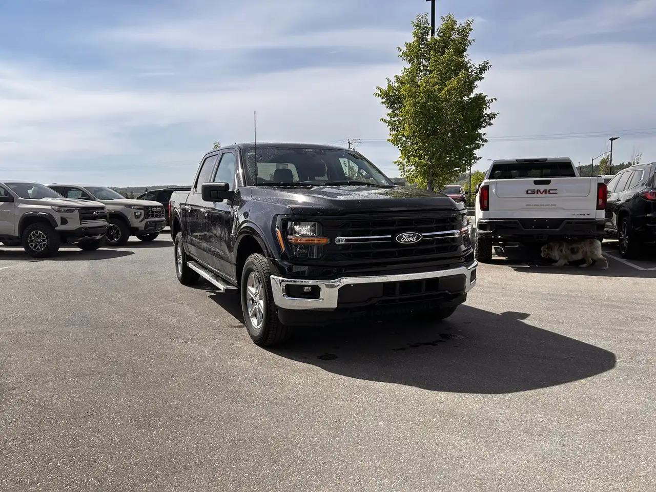 Ford F 150 fotografie Ford F 150
