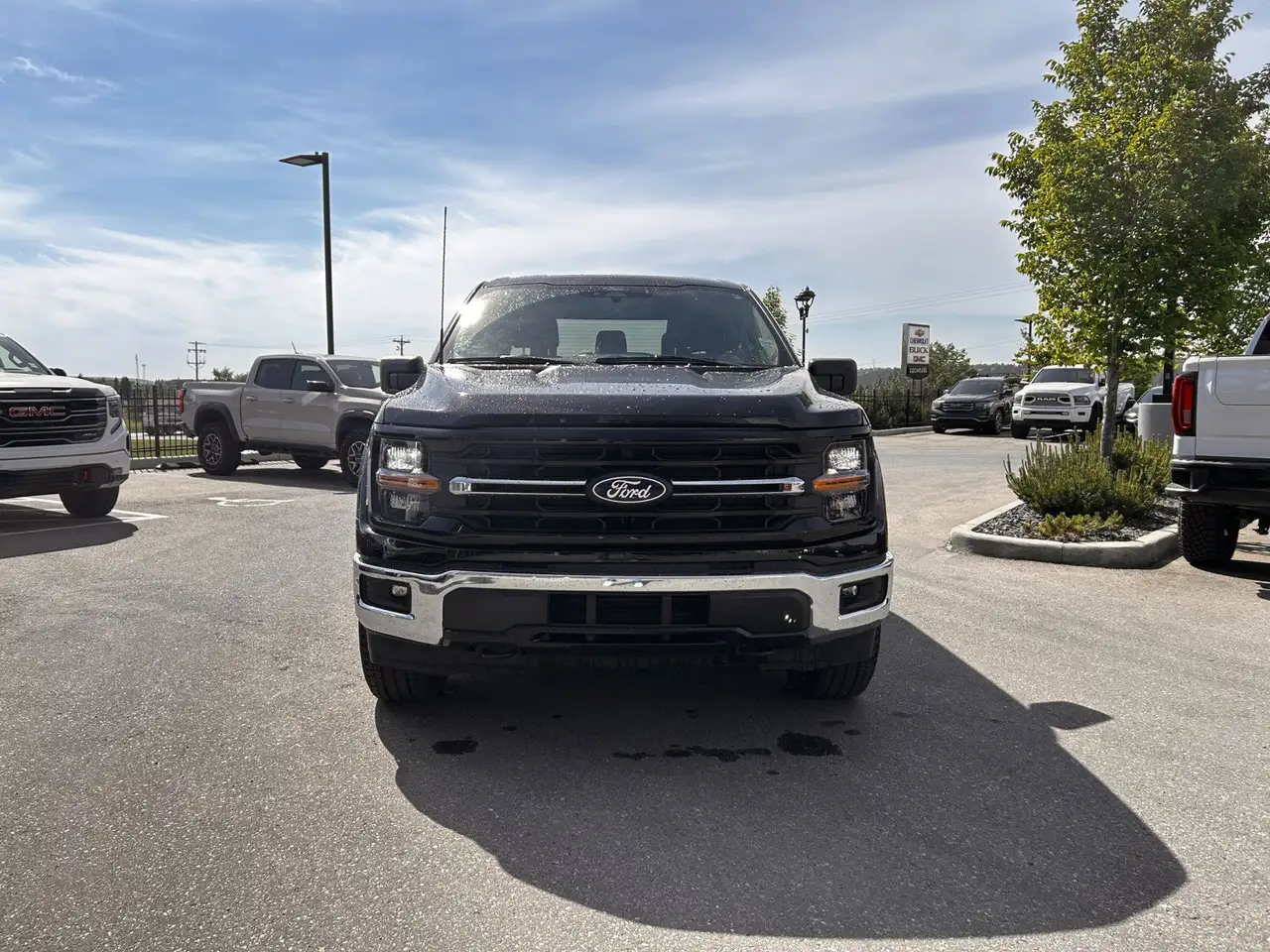 Ford F 150 fotografie Ford F 150