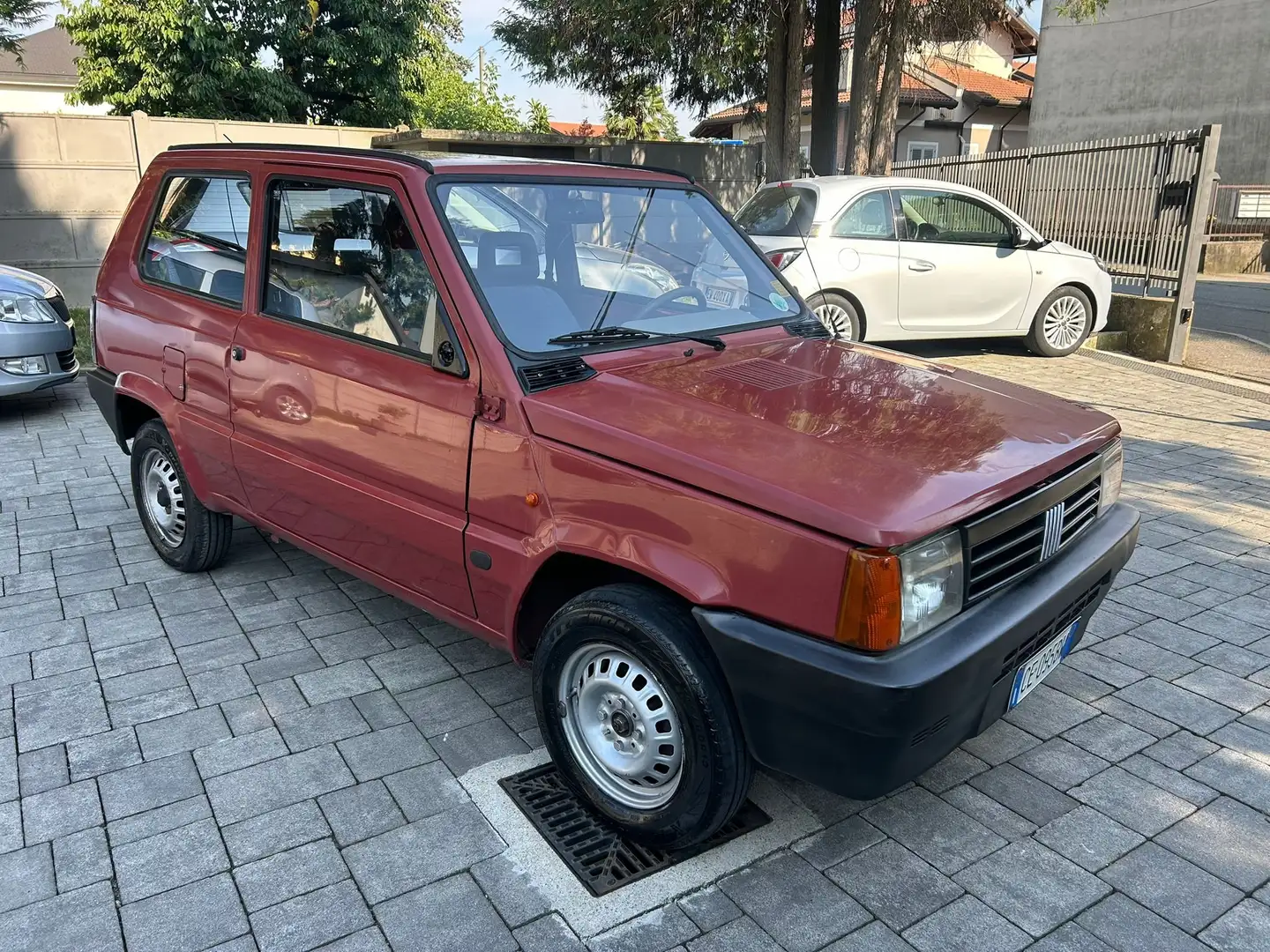 Fiat Panda Panda 1.1 Young Braun - 2