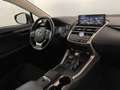 Lexus NX 300 300h 2.5 Business 4wd cvt Nero - thumbnail 9