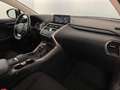 Lexus NX 300 300h 2.5 Business 4wd cvt Nero - thumbnail 10