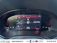 SEAT Ibiza 1.0 EcoTSI 115 ch S/S DSG7 FR Noir - thumbnail 22