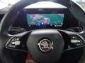 Skoda Kodiaq KODIAQ 2.0TDI 4x4 *7 SITZ*AHK*ACC*MATRIX*CAM*KEY Grau - thumbnail 5