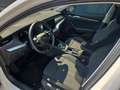 Skoda Octavia Style TDI DSG Weiß - thumbnail 6