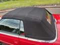 Oldtimer Maserati TC  Cabrio mit Hardtop Rood - thumbnail 15