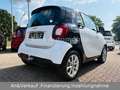 smart forTwo Passion AUTOM/SITZH/PANO/KLIMA/2.HAND Weiß - thumbnail 5