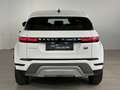 Land Rover Range Rover Evoque D165 AWD Aut. Weiß - thumbnail 4