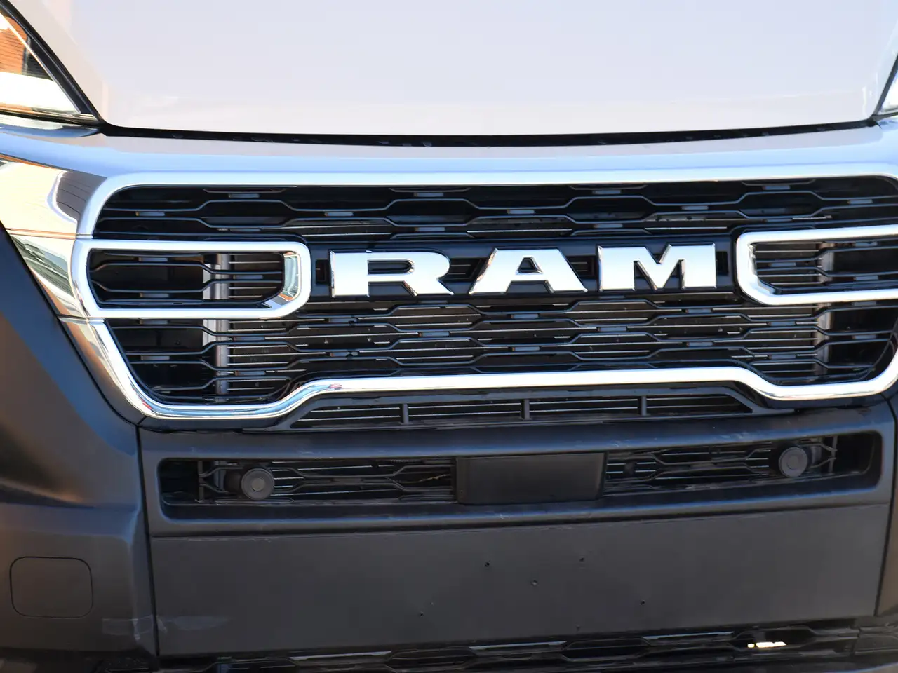 RAM Promaster снимка RAM Promaster