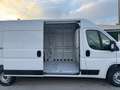 Fiat Ducato 35 2.2 Mjt 140CV PLM-TM Furgone Bianco - thumbnail 13