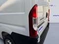 Fiat Ducato 35 2.2 Mjt 140CV PLM-TM Furgone Bianco - thumbnail 7