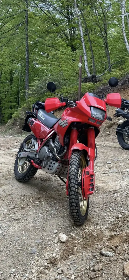 Honda NX 650 Dominator Rosso - 1