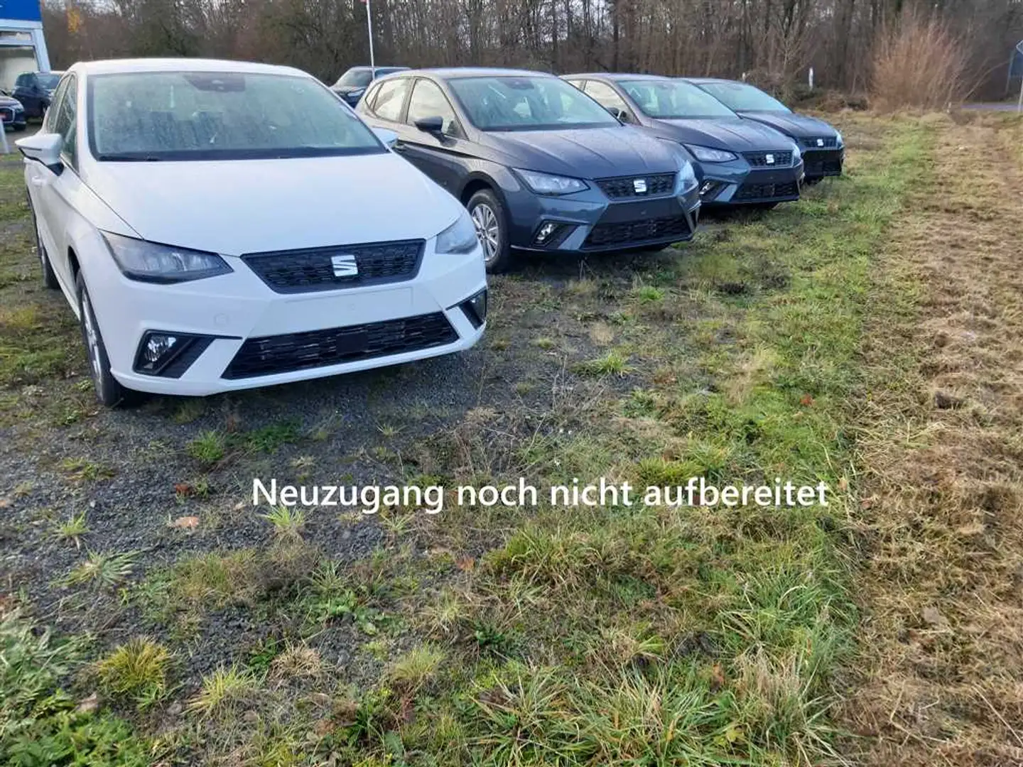 SEAT Ibiza 1.0 MPI Reference VIRTUAL+LED+SHZ Grau - 1