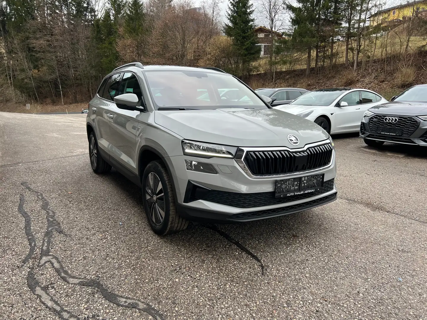 Skoda Karoq 2,0 TDI 4x4 DSG Ambition Grau - 2