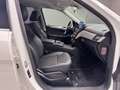Mercedes-Benz GLE 250 d Sport 4matic auto E6 Bianco - thumbnail 13