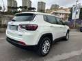 Jeep Compass Compass 1.6 mjt Business 2wd 130cv Bianco - thumbnail 15