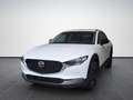 Mazda CX-30 2.5 e-Skyactiv G M Hybrid Homura Argento - thumbnail 1
