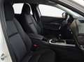 Mazda CX-30 2.5 e-Skyactiv G M Hybrid Homura Argento - thumbnail 12