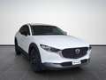 Mazda CX-30 2.5 e-Skyactiv G M Hybrid Homura Argento - thumbnail 3