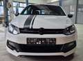 Volkswagen Polo 6R, R-Line Paket innen & außen, 4Sports 1,2 TSI Weiß - thumbnail 7