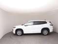 Volkswagen Tayron Friends eTSI DSG Weiß - thumbnail 7