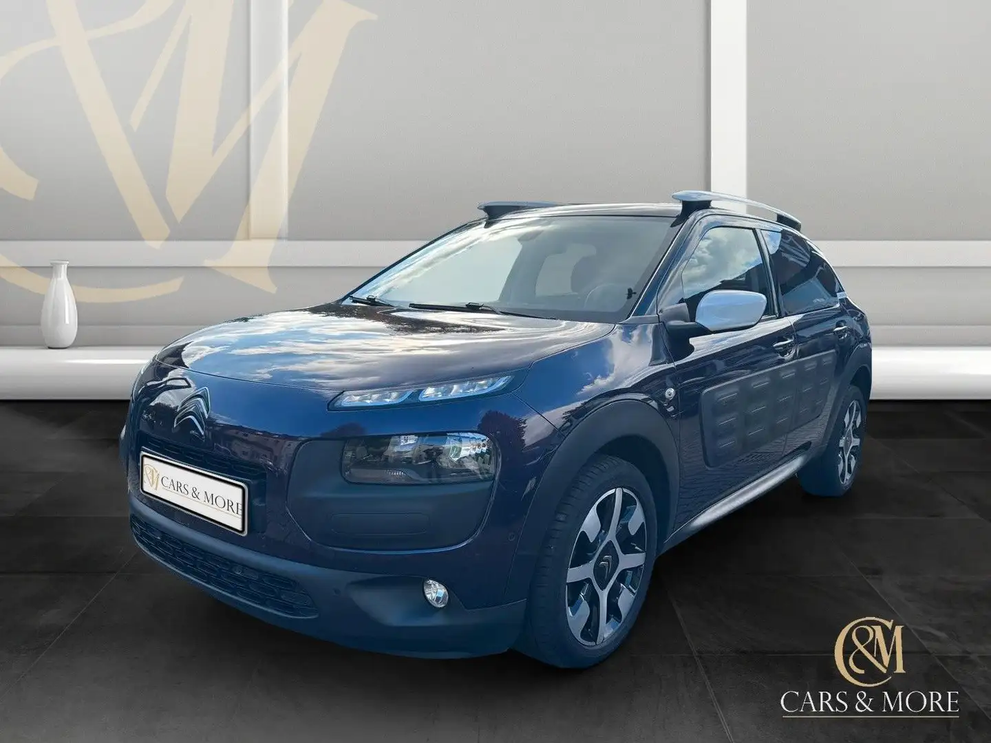 Citroen C4 Cactus Shine Edition T.Leder Navi RFK PDC V&H Violett - 2