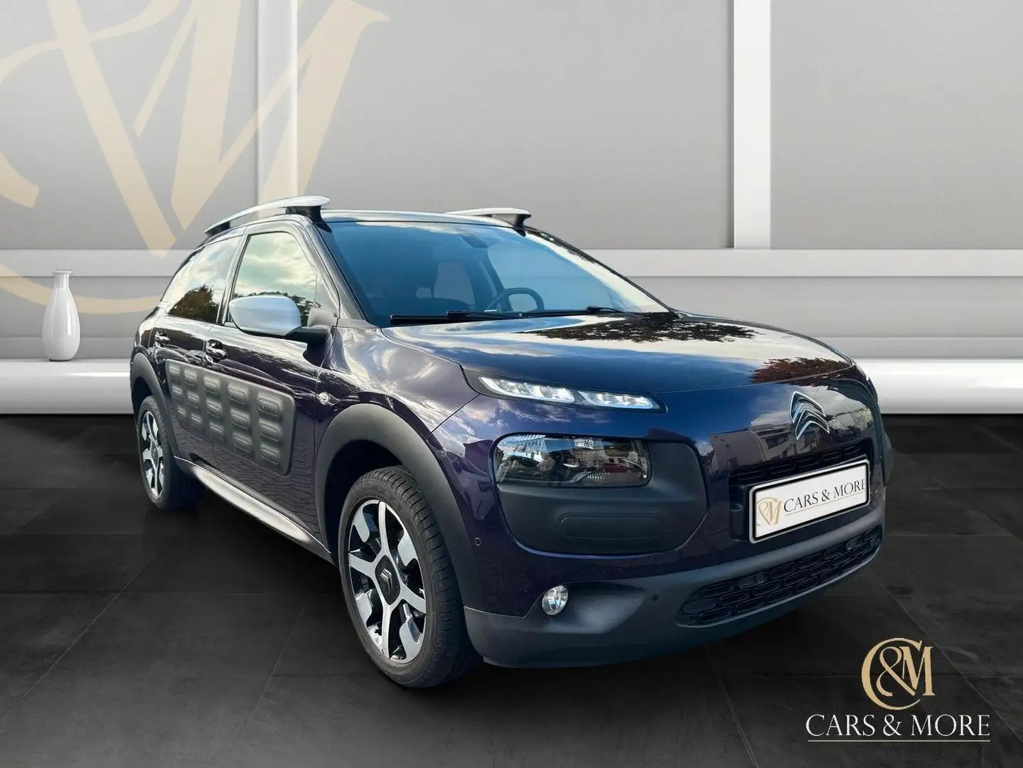 Citroen C4 Cactus Shine Edition T.Leder Navi RFK PDC V&H Violett - 1