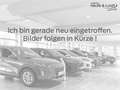 Ford Focus ST X 2.3 EcoBoost. Automatik.HUD.Panodach.Navi. Schwarz - thumbnail 18