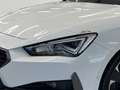 CUPRA Leon Sportstourer 2.0 TSI 4Drive VZ *LED*BEATS*KAMERA* Blanc - thumbnail 8