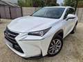 Lexus NX 300h 2.5i FWD Executive // HYBRID//CARNET/GARANTIE 12M Bílá - thumbnail 3