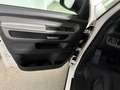 Volkswagen ID. Buzz Cargo 1-Gang-Automatik /AHK/Rückfahrkam Weiß - thumbnail 12