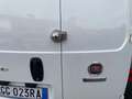 Fiat Fiorino 1.3 MTJ 95 CV SX CARGO Bianco - thumbnail 5