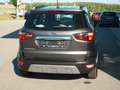 Ford EcoSport Titanium Grau - thumbnail 9
